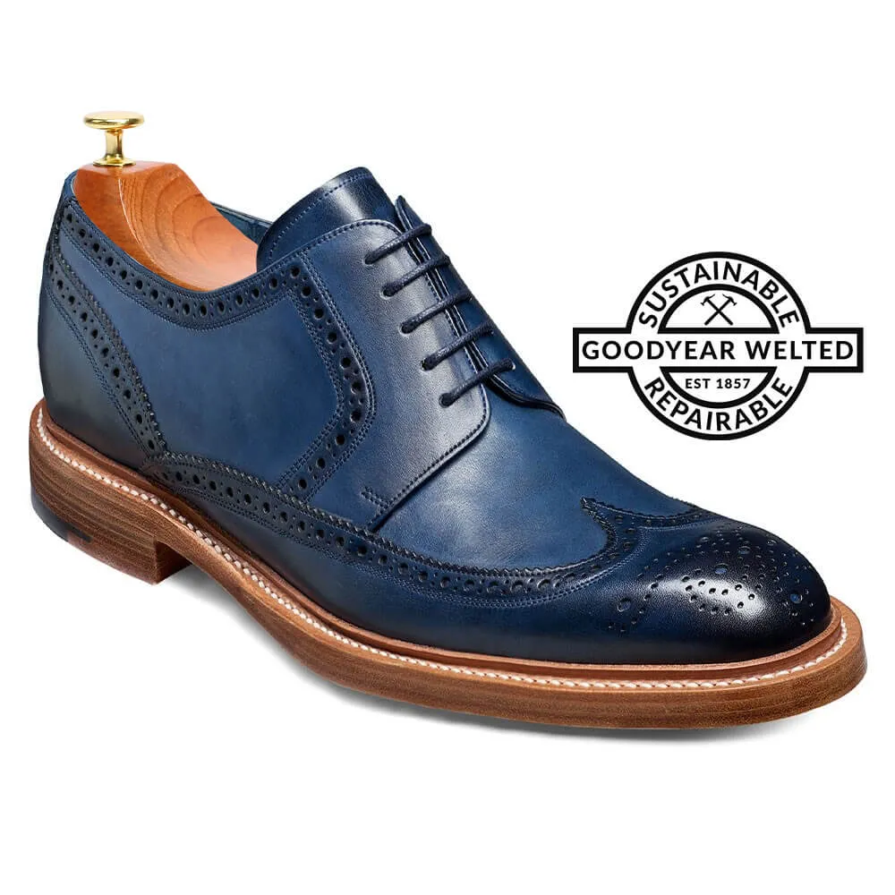 7 CM / 2.76 Inches CMR CHAMARIPA Goodyear Welted Tall Men Shoes - Navy Hand Painted Wingtip Derby Shoe