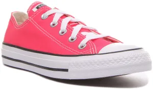 Converse All Star Low 164294C in Fuchsia