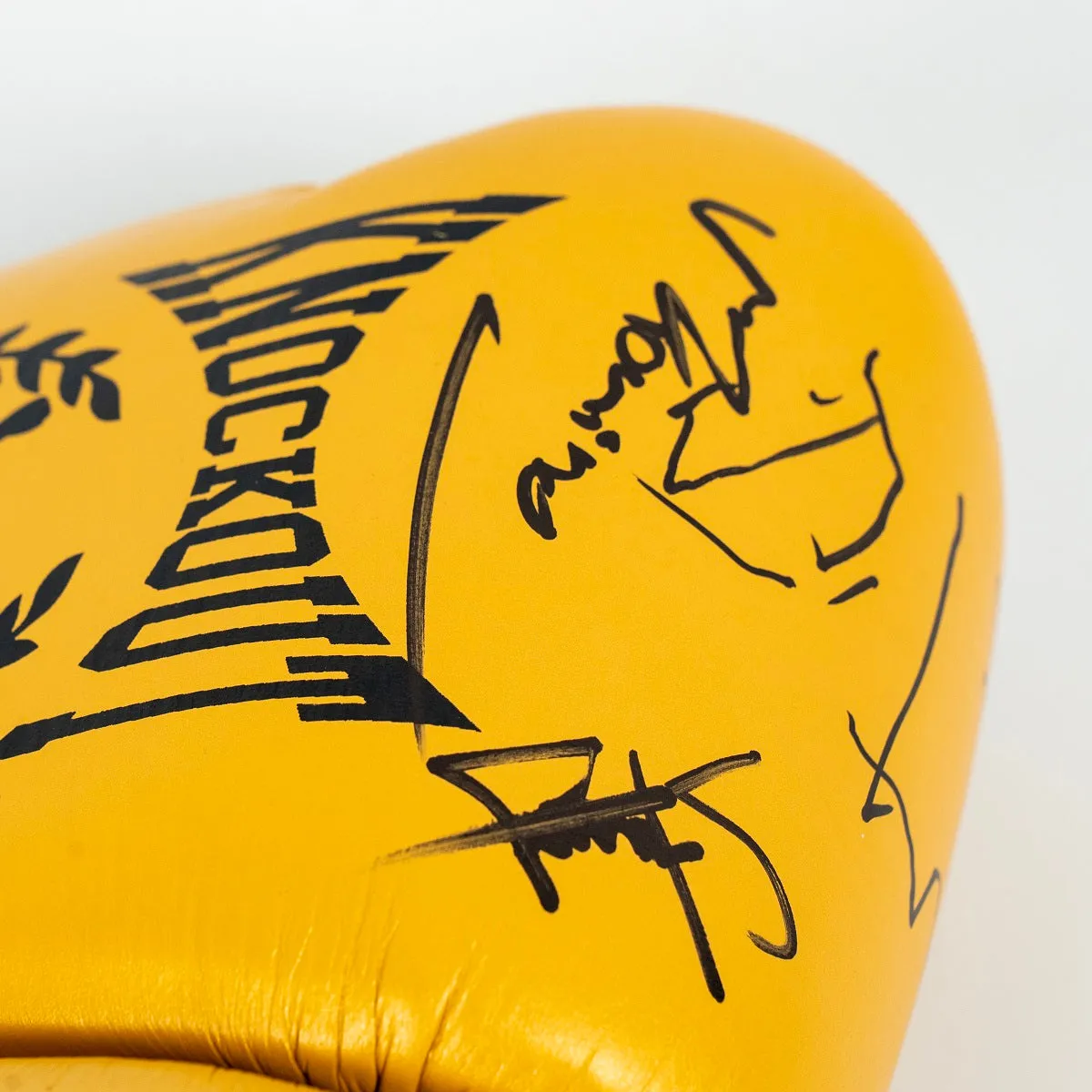 Knockout Boxing Gloves Signed by Colosseum Champions – Special Edition