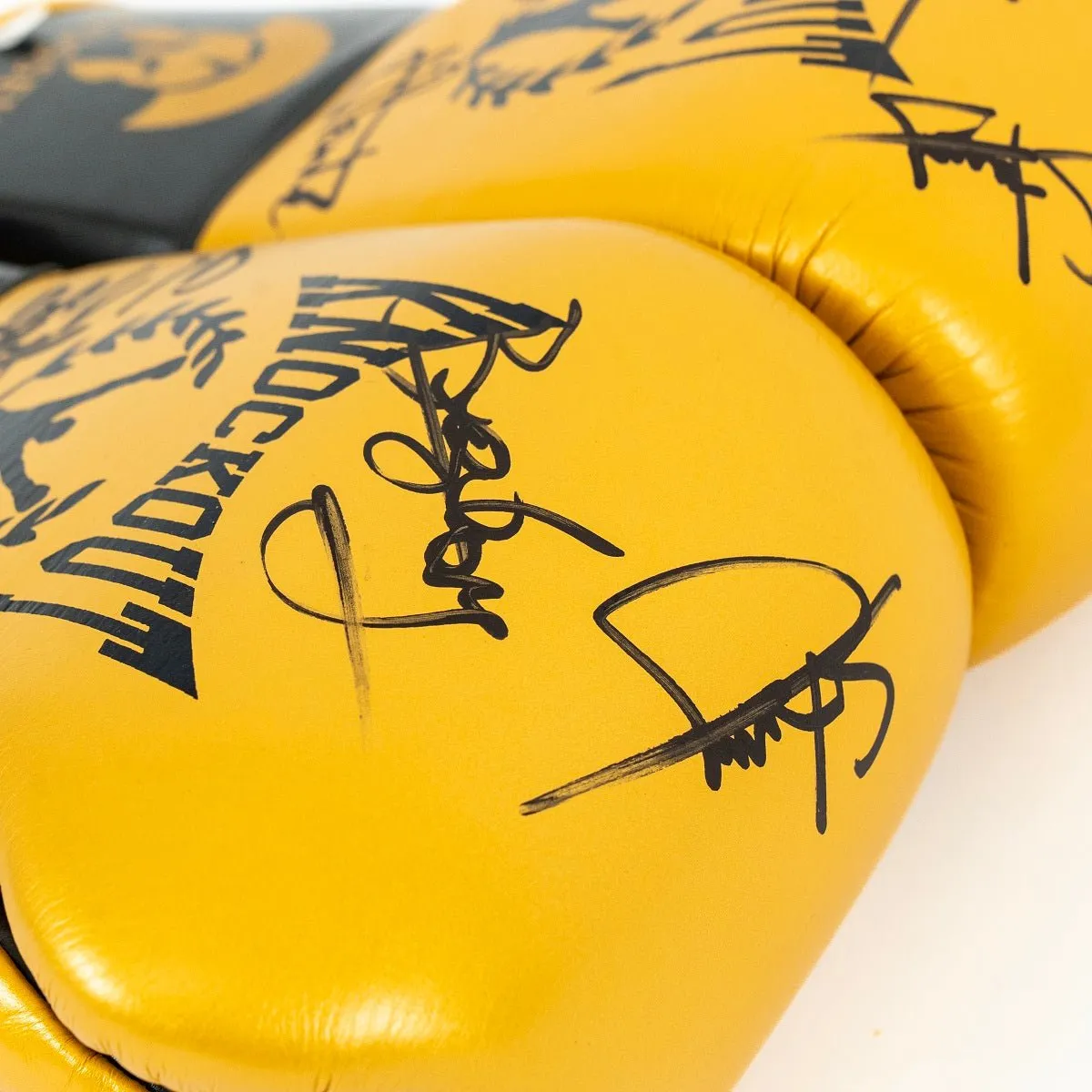 Knockout Boxing Gloves Signed by Colosseum Champions – Special Edition