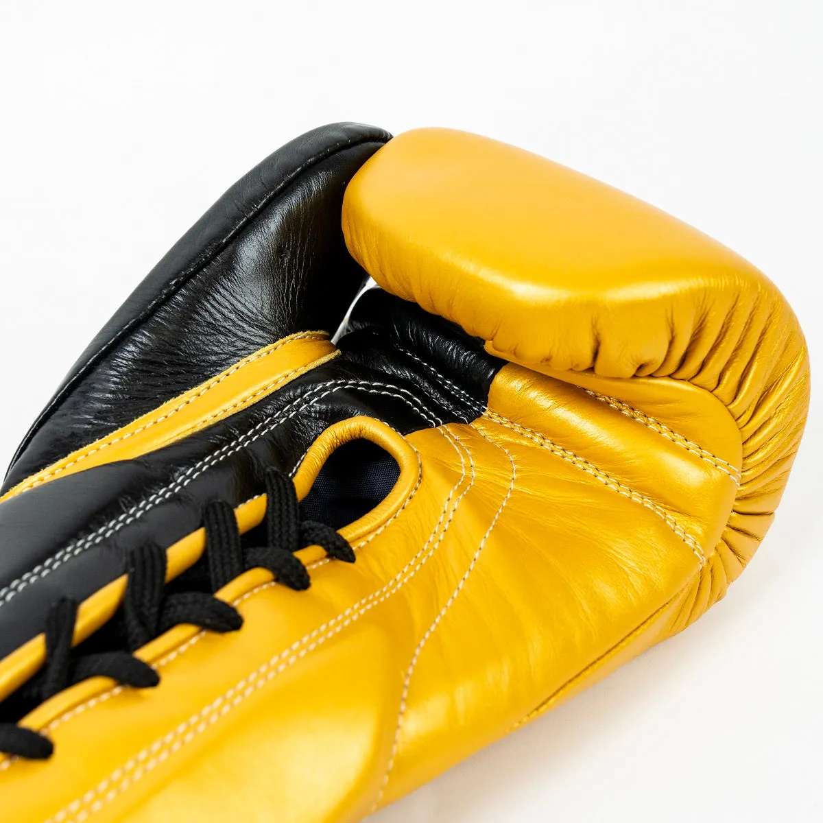 Knockout Boxing Gloves Signed by Colosseum Champions – Special Edition