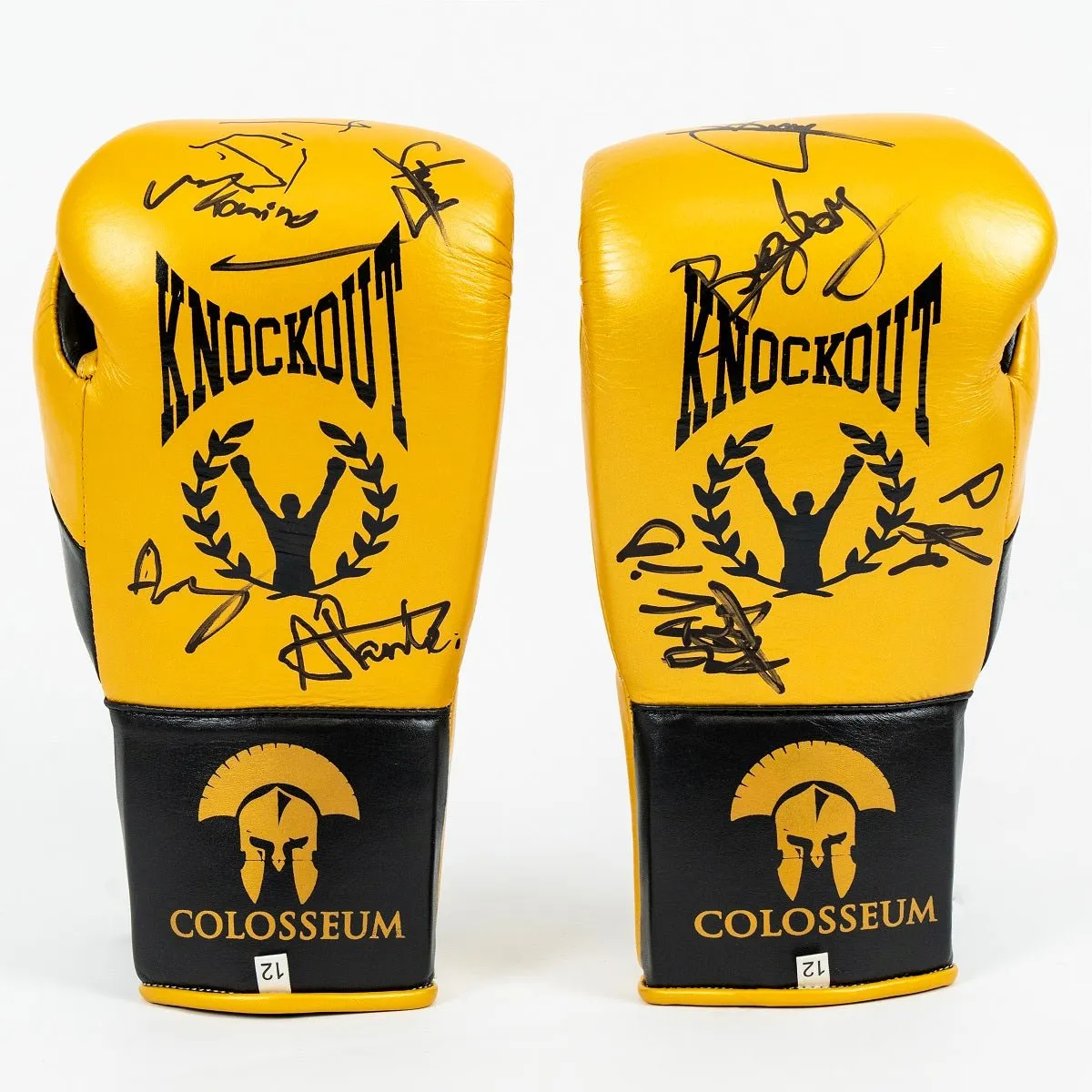 Knockout Boxing Gloves Signed by Colosseum Champions – Special Edition