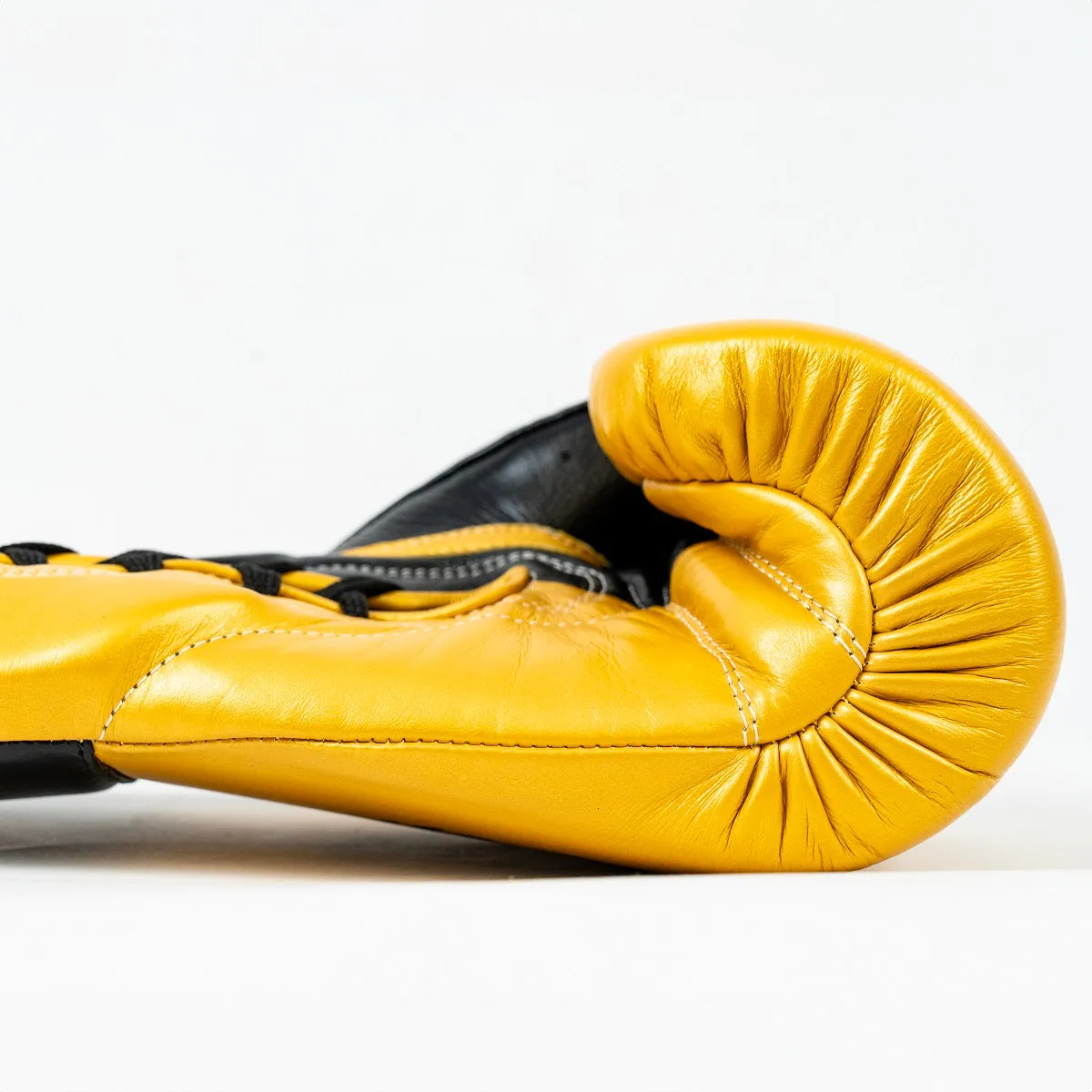 Knockout Boxing Gloves Signed by Colosseum Champions – Special Edition