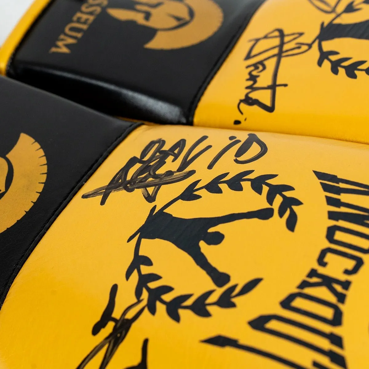 Knockout Boxing Gloves Signed by Colosseum Champions – Special Edition